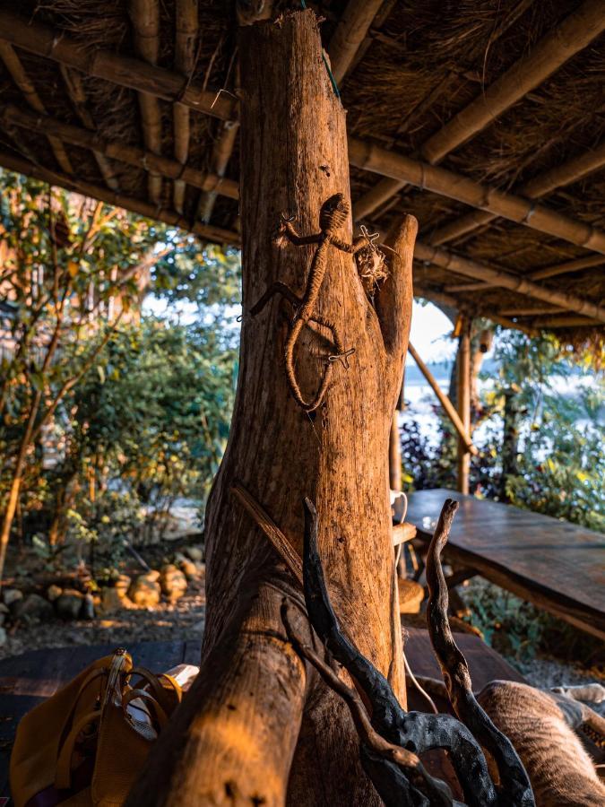 Happy Lemon Tree Lodge Sauraha Esterno foto