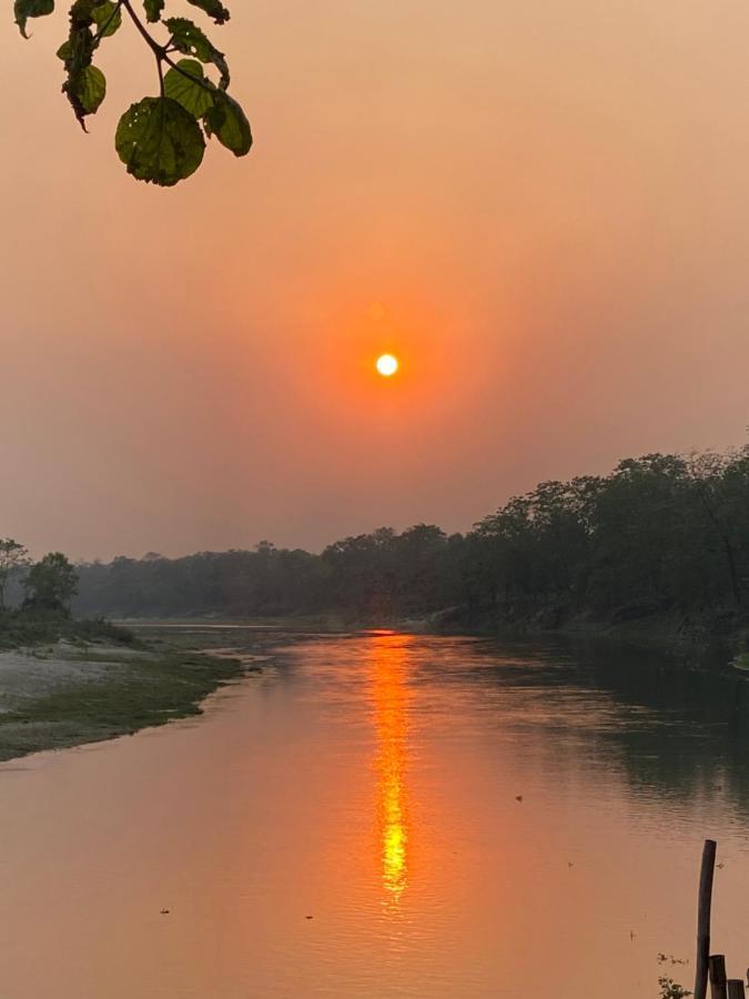 Happy Lemon Tree Lodge Sauraha Esterno foto