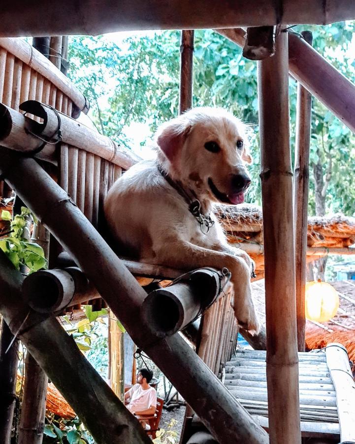 Happy Lemon Tree Lodge Sauraha Esterno foto