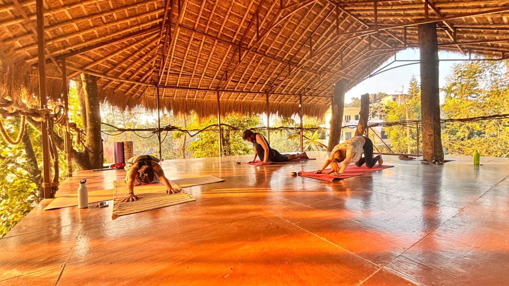 Happy Lemon Tree Lodge Sauraha Esterno foto