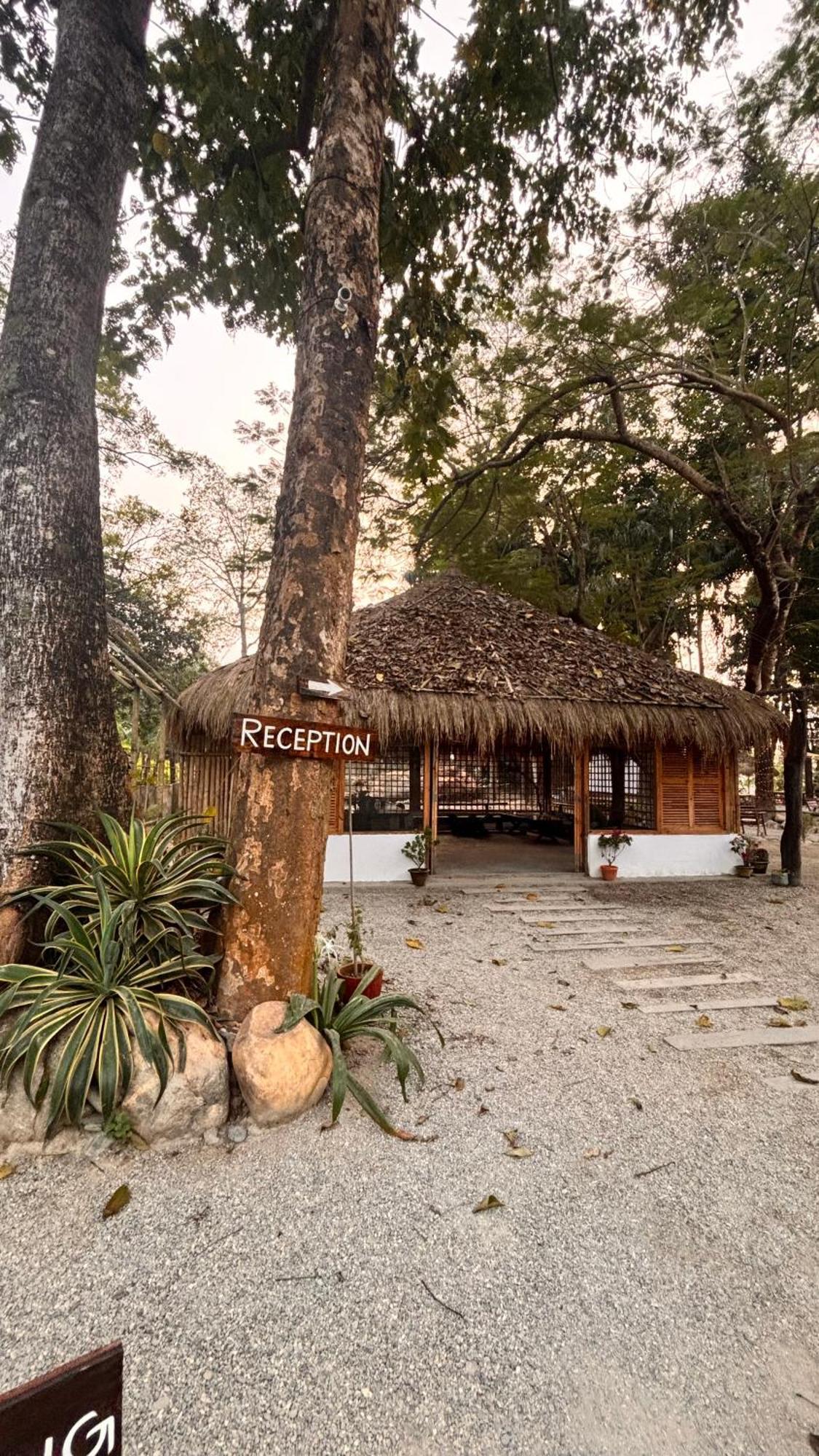 Happy Lemon Tree Lodge Sauraha Esterno foto