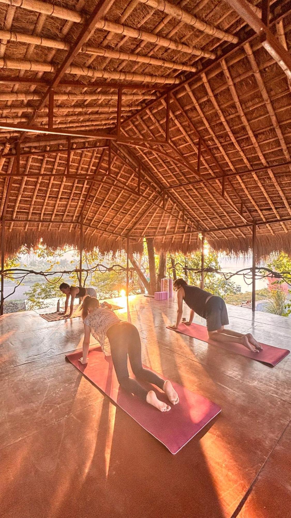 Happy Lemon Tree Lodge Sauraha Esterno foto